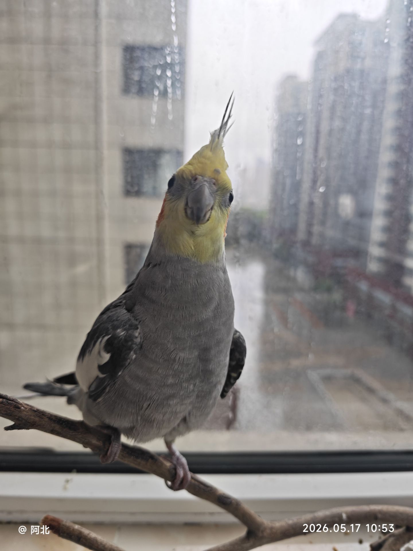 每日一图
